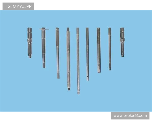 K8凯发app网址在不同地区的访问限制与解决方案,确保全球玩家无障碍体验 K8凯发app网址在不同地区的访问限制与解决方案,确保全球玩家无障碍体验