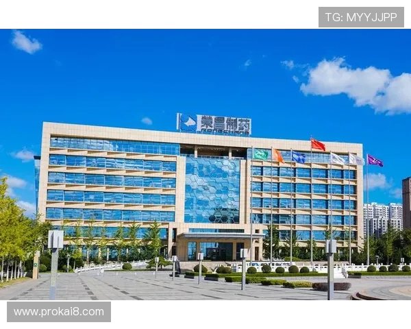 凯发娱乐天生赢家介绍多样化的支付方式，方便玩家随时随地进行资金操作